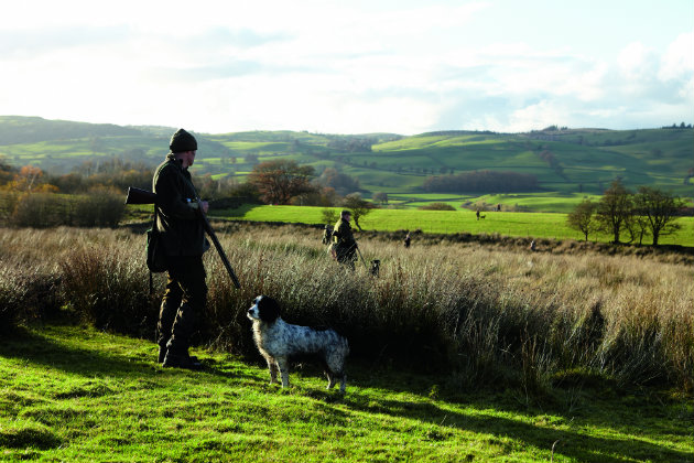shooter with spaniel