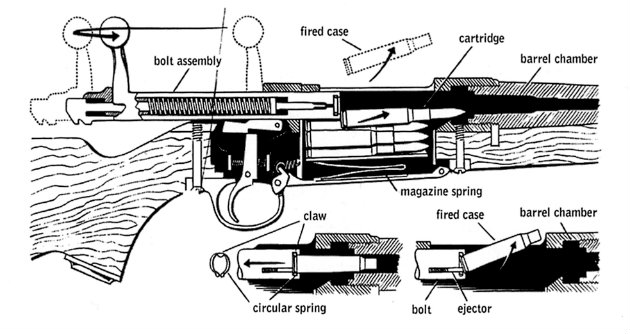 Internal view of a rifle