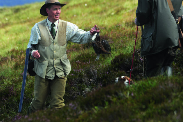walked-up grouse shooting