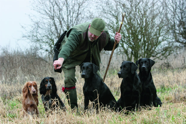 Picker up with gun dogs