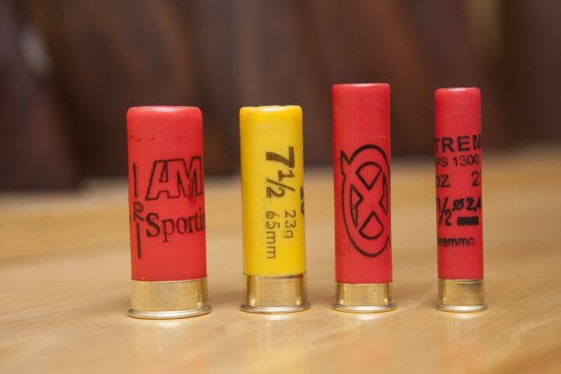 shotgun cartridges in different bores