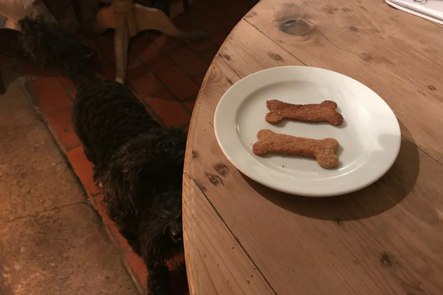 Bev's dog biscuits
