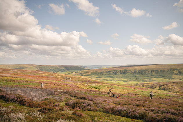 land management of grouse moor