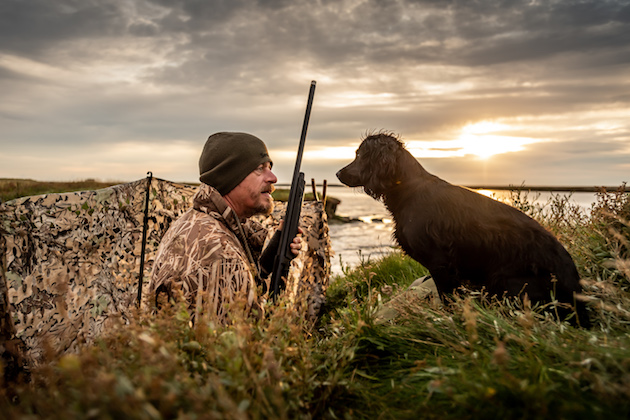 wildfowling with Labrador