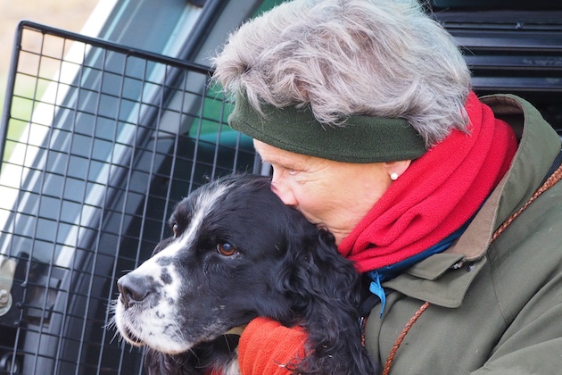 Spaniel with owner