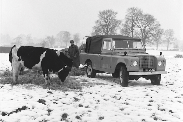 Land Rovers in snow
