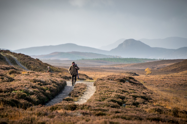 walking on grouse moor in Scotland