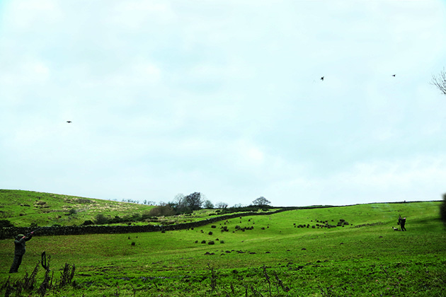 countryside scene