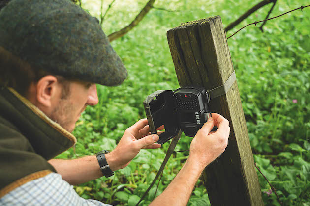 Setting up trail cams for hunting