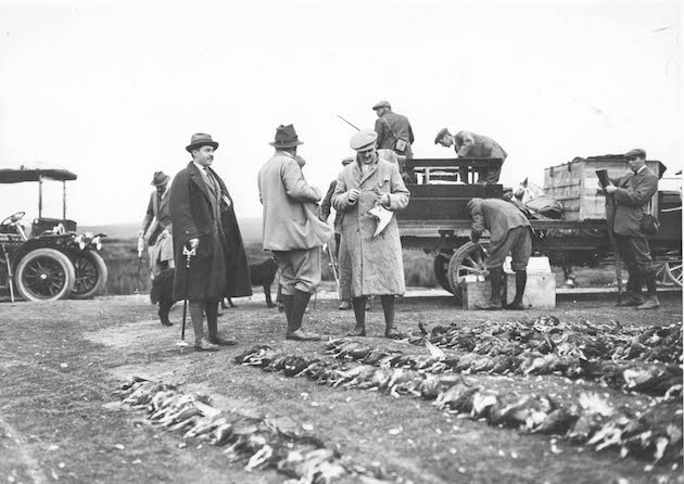 Grouse day in 1911