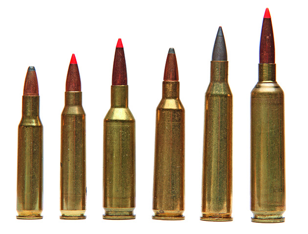 .22-250 calibre wildcat rounds