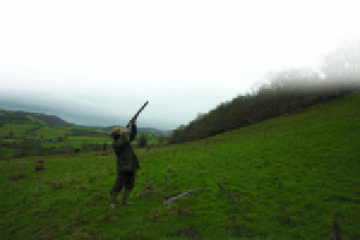 shooting in the field