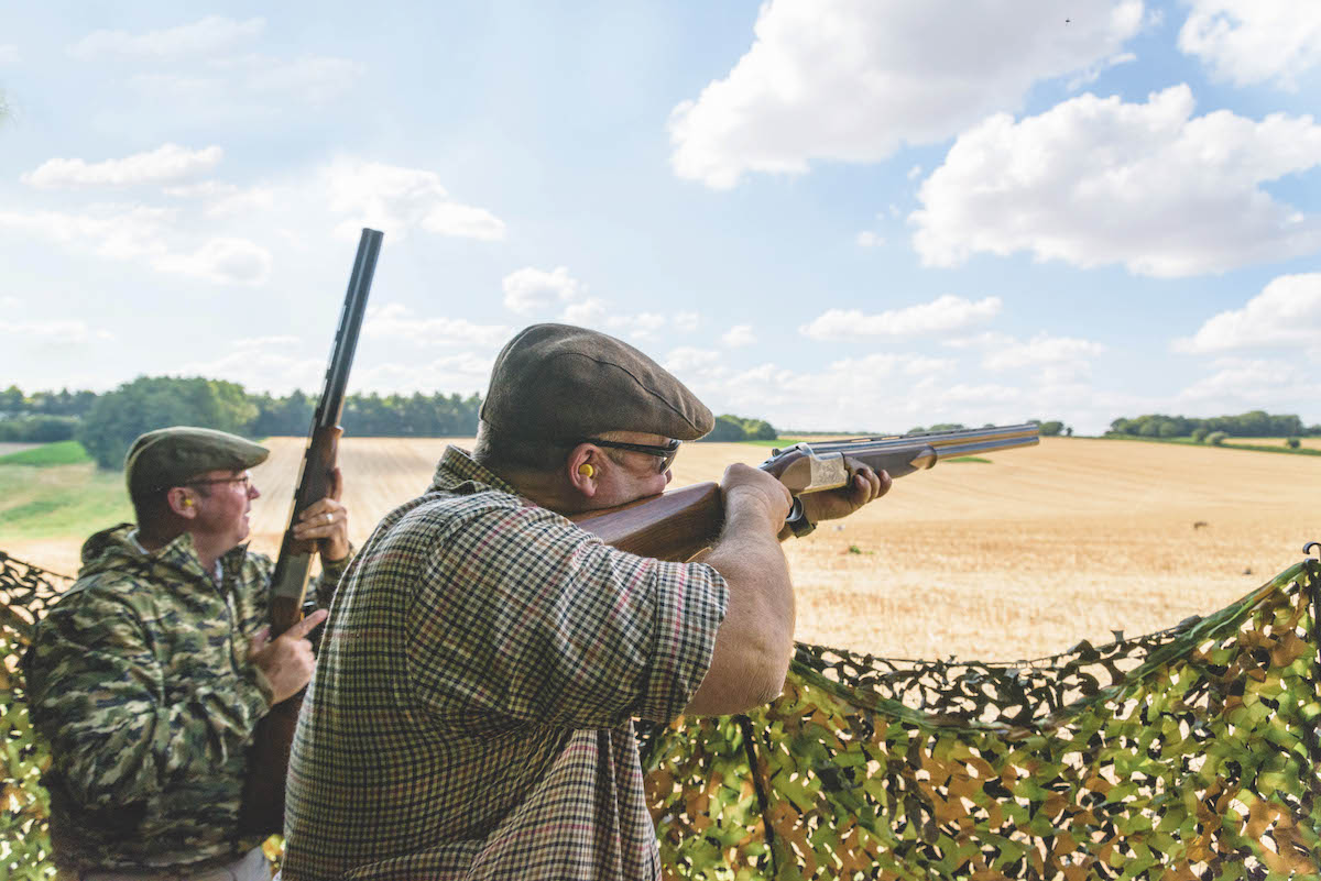 guided pigeon shooting